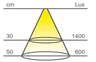 Vue 2 Accessoires en non précisé Luisina Skipy ZE0086005 couleur aluminium